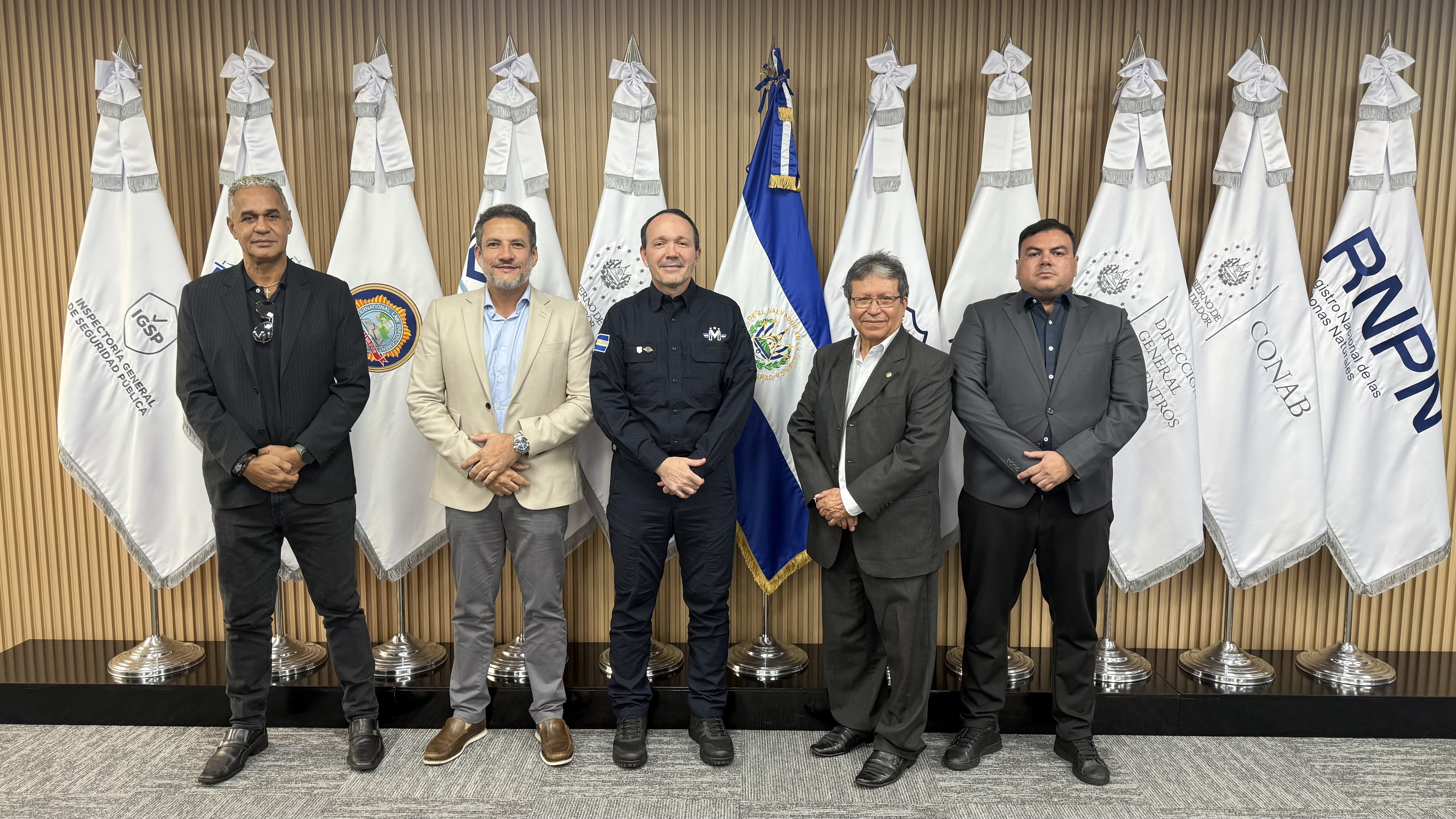 Official mission with government institutions